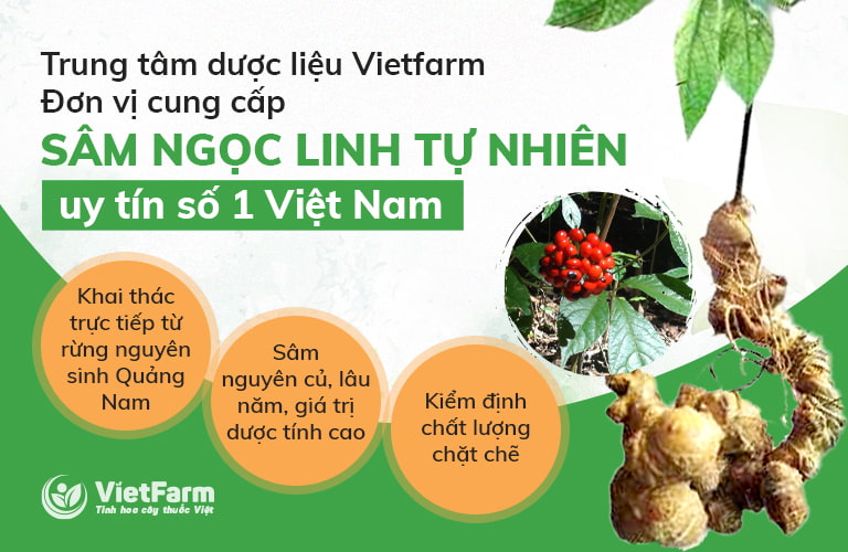 Sâm Ngọc Linh Vietfarm uy tín số 1 Việt Nam