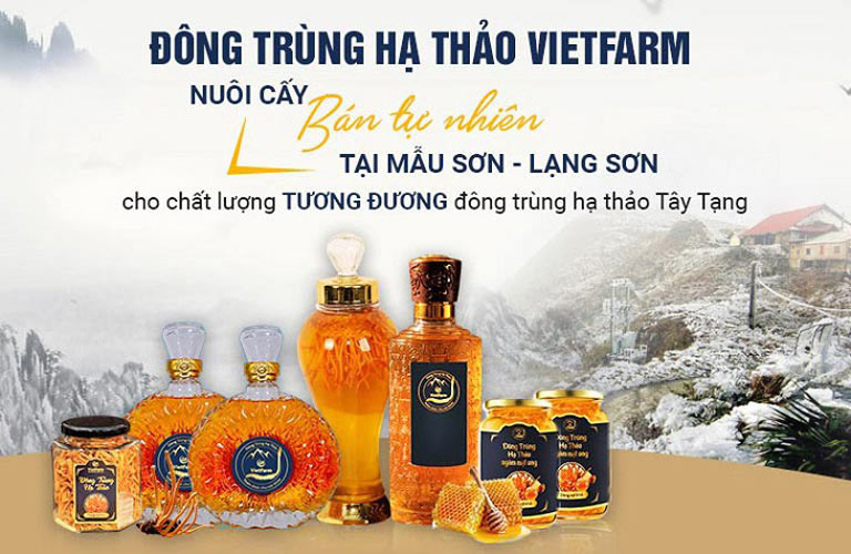 Vietfarm - Đơn vị cung cấp trùng thảo nuôi cấy bán tự nhiên đầu tiên tại Việt Nam