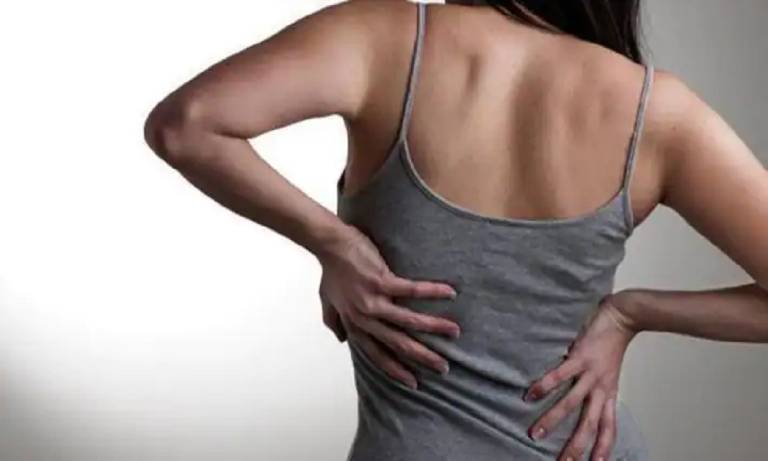Chữa đau lưng bằng lá lốt có hiệu quả không? 